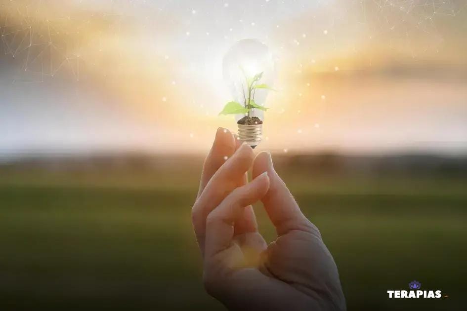 Entendendo a Bioenergética e Seu Impacto na Saúde Entendendo a Bioenergética e Seu Impacto na Saúde
