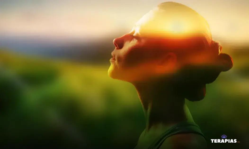 O Básico da Bioenergética para Iniciantes O Básico da Bioenergética para Iniciantes