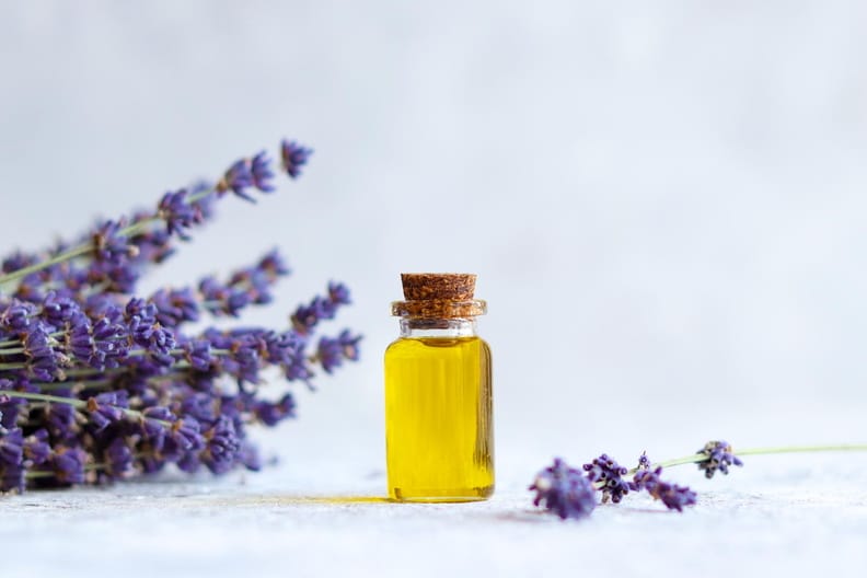 Uso de Plantas Medicinais e Fitoterápicos