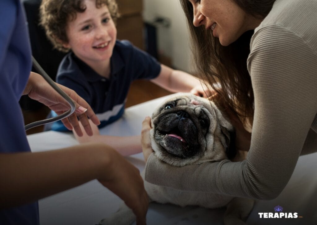 Terapia Assistida por Animais para Tratamento da Depressão